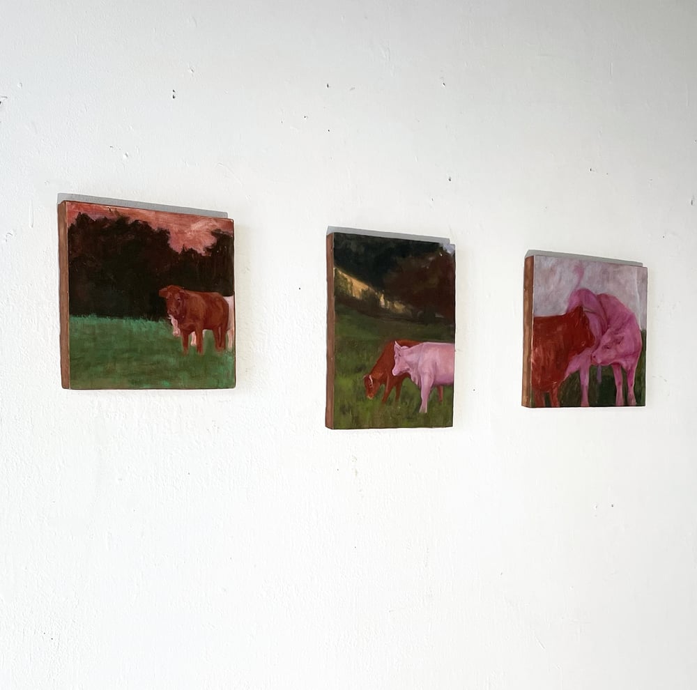Vaches du Loir-et-Cher — image 1